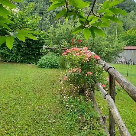 Holiday home Casa Vacanze Alloro